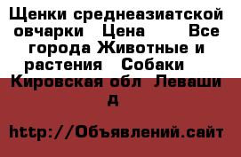 Щенки среднеазиатской овчарки › Цена ­ 1 - Все города Животные и растения » Собаки   . Кировская обл.,Леваши д.